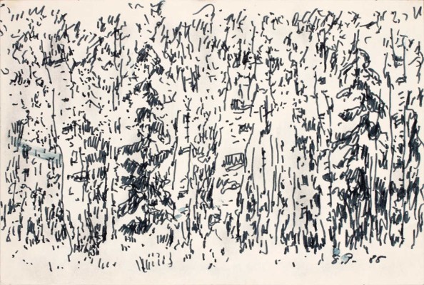 Рыбченков Борис Фёдорович. Подмосковная роща
